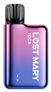 Lost Mary